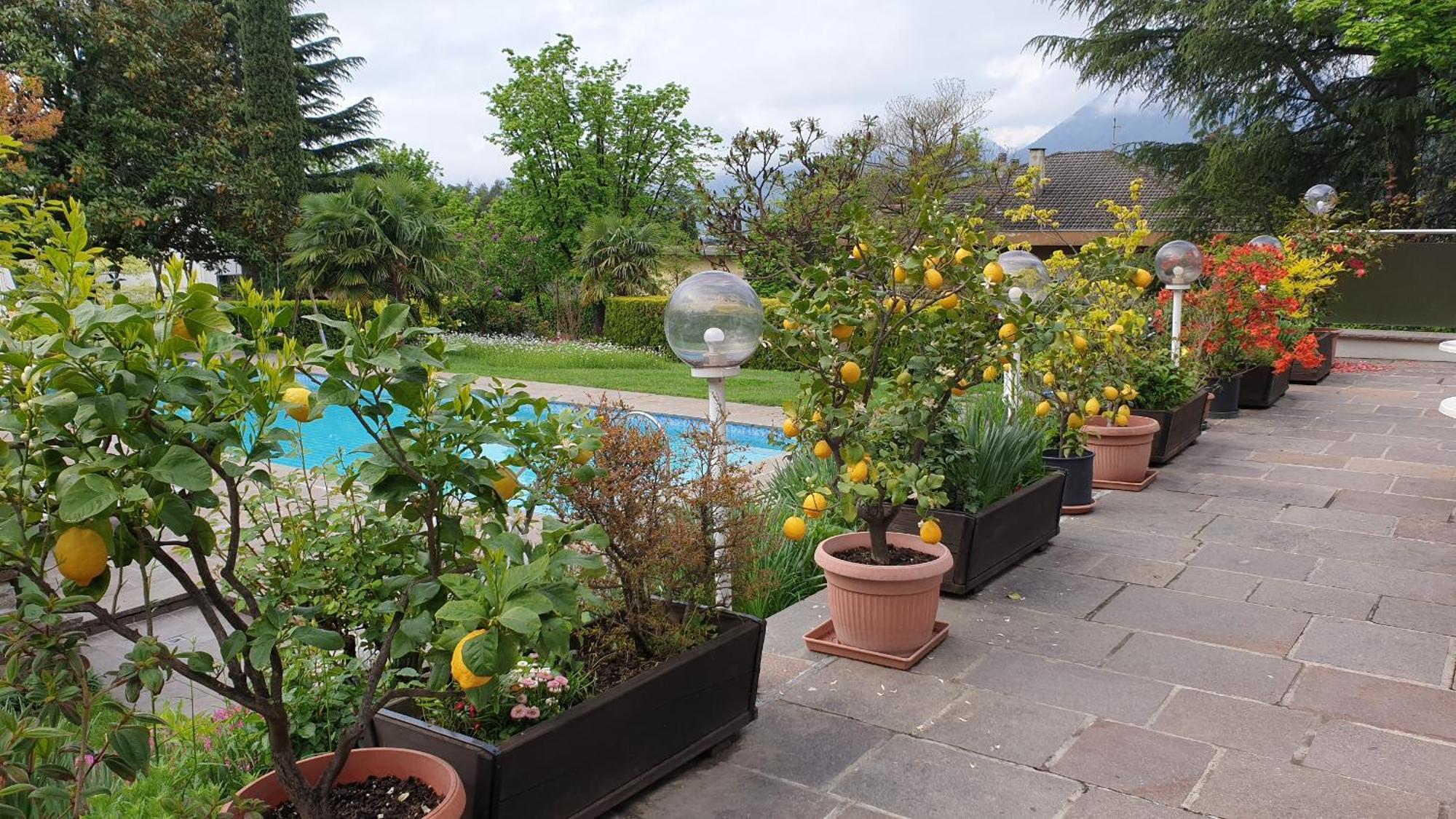 Hotel Tiffany Merano Exterior photo